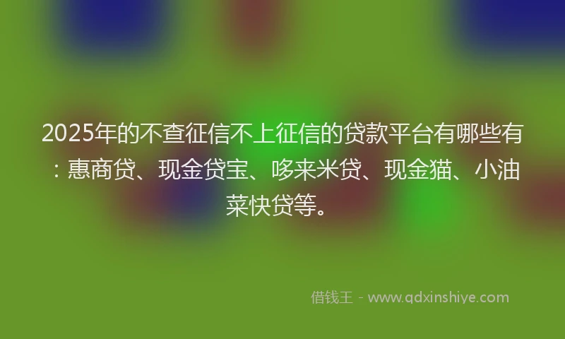 2025年的不查征信不上征信的贷款平台有哪些有：惠商贷、现金贷宝、哆来米贷、现金猫、小油菜快贷等。