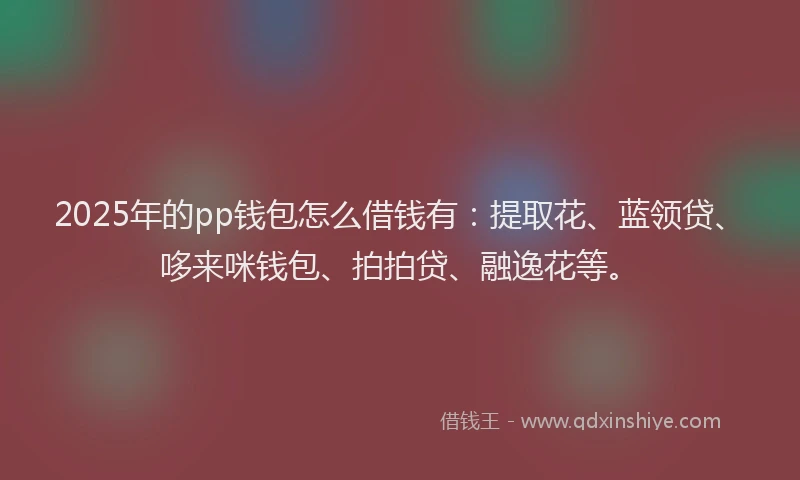 2025年的pp钱包怎么借钱有：提取花、蓝领贷、哆来咪钱包、拍拍贷、融逸花等。