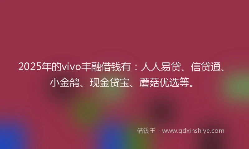 2025年的vivo丰融借钱有：人人易贷、信贷通、小金鸽、现金贷宝、蘑菇优选等。