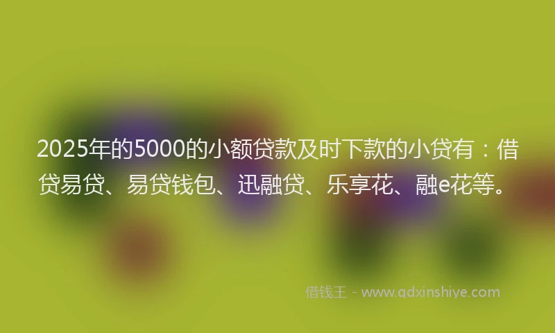 2025年的5000的小额贷款及时下款的小贷有：借贷易贷、易贷钱包、迅融贷、乐享花、融e花等。