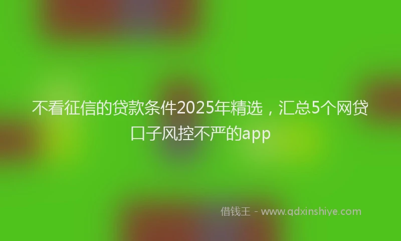 不看征信的贷款条件2025年精选，汇总5个网贷口子风控不严的app