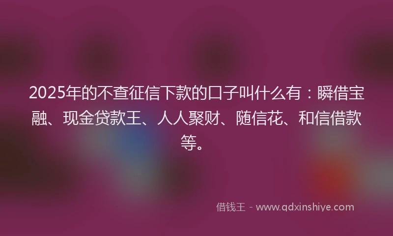 2025年的不查征信下款的口子叫什么有：瞬借宝融、现金贷款王、人人聚财、随信花、和信借款等。