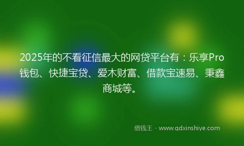 2025年的不看征信最大的网贷平台有：乐享Pro钱包、快捷宝贷、爱木财富、借款宝速易、秉鑫商城等。
