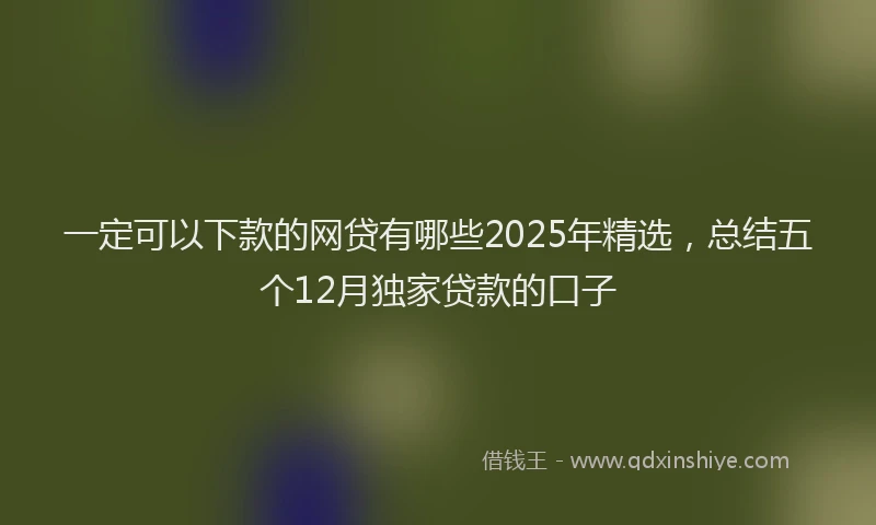 一定可以下款的网贷有哪些2025年精选，总结五个12月独家贷款的口子