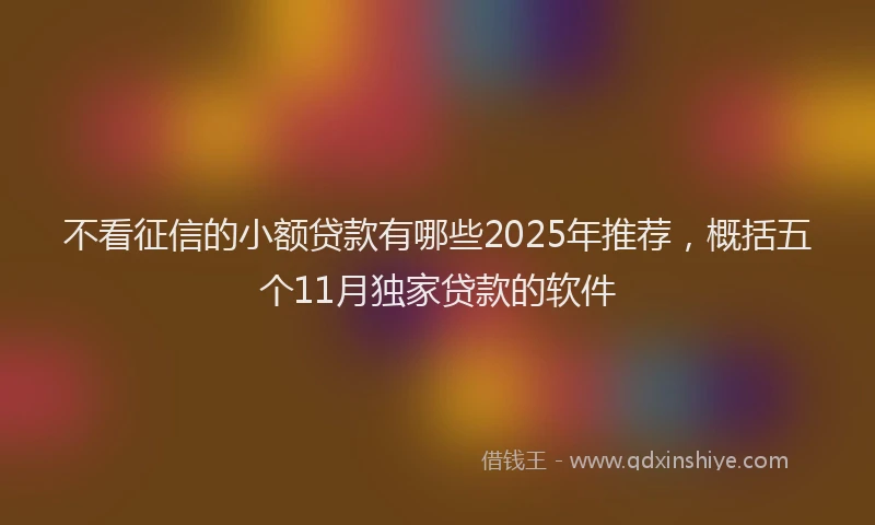 不看征信的小额贷款有哪些2025年推荐，概括五个11月独家贷款的软件
