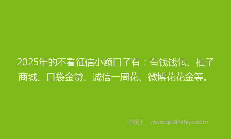 2025年的不看征信小额口子有：有钱钱包、柚子商城、口袋金贷、诚信一周花、微博花花金等。