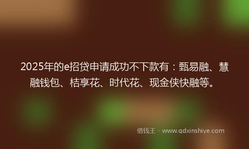 2025年的e招贷申请成功不下款有：甄易融、慧融钱包、桔享花、时代花、现金侠快融等。