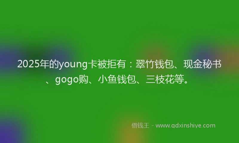 2025年的young卡被拒有：翠竹钱包、现金秘书、gogo购、小鱼钱包、三枝花等。