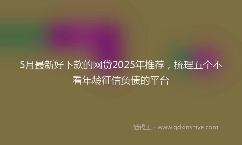 5月最新好下款的网贷2025年推荐，梳理五个不看年龄征信负债的平台