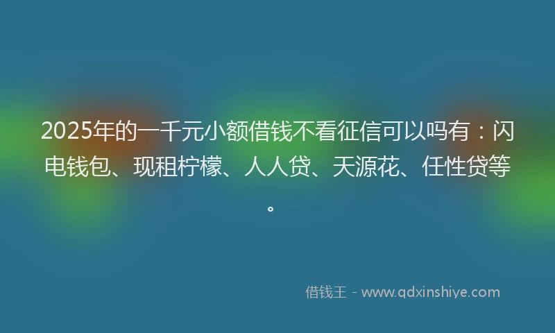 2025年的一千元小额借钱不看征信可以吗有：闪电钱包、现租柠檬、人人贷、天源花、任性贷等。