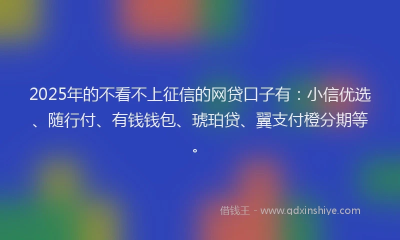 2025年的不看不上征信的网贷口子有：小信优选、随行付、有钱钱包、琥珀贷、翼支付橙分期等。