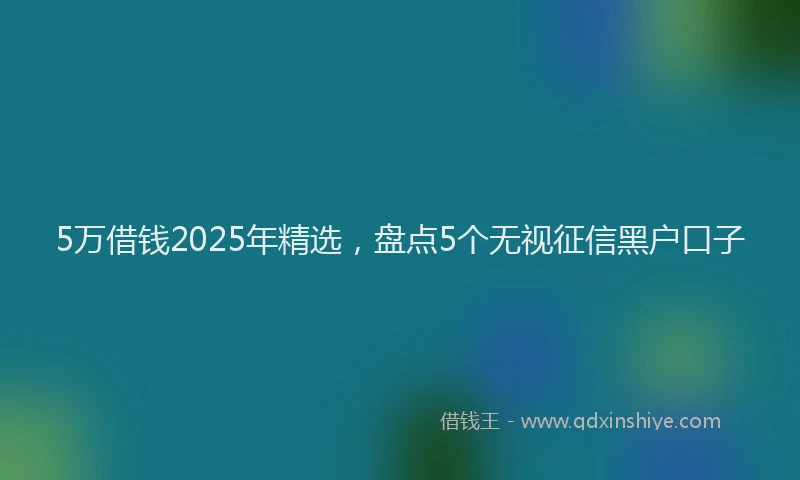 5万借钱2025年精选，盘点5个无视征信黑户口子