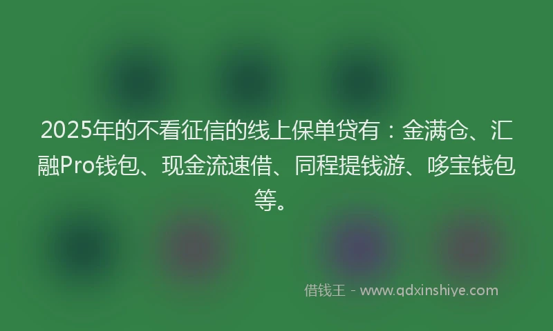 2025年的不看征信的线上保单贷有：金满仓、汇融Pro钱包、现金流速借、同程提钱游、哆宝钱包等。