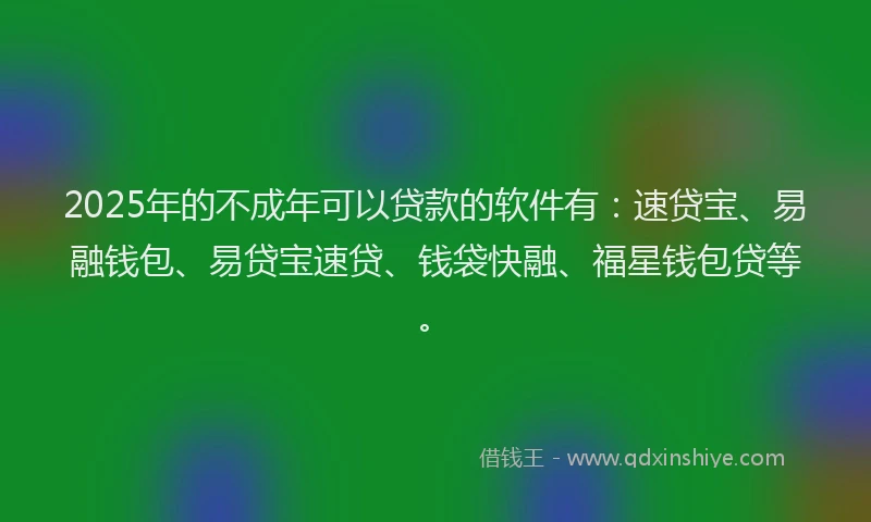 2025年的不成年可以贷款的软件有：速贷宝、易融钱包、易贷宝速贷、钱袋快融、福星钱包贷等。