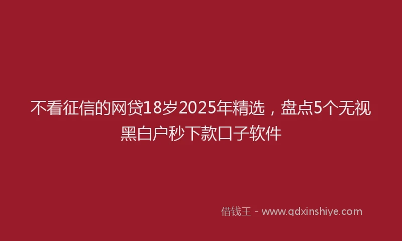 不看征信的网贷18岁2025年精选，盘点5个无视黑白户秒下款口子软件