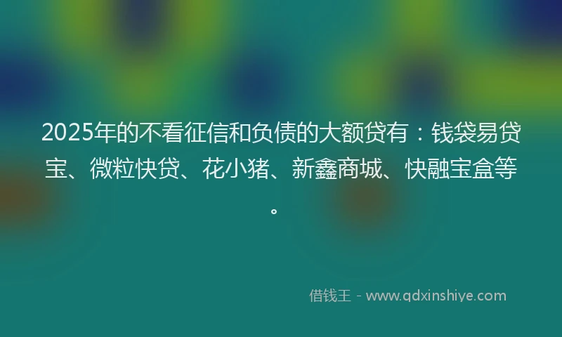 2025年的不看征信和负债的大额贷有：钱袋易贷宝、微粒快贷、花小猪、新鑫商城、快融宝盒等。