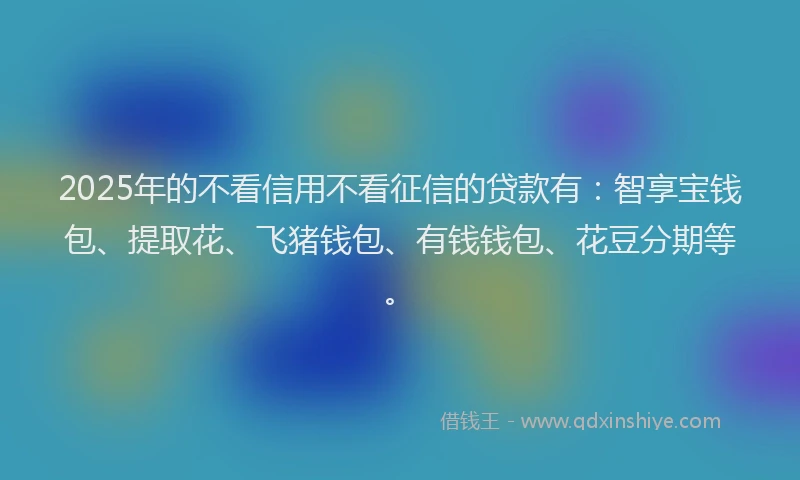 2025年的不看信用不看征信的贷款有：智享宝钱包、提取花、飞猪钱包、有钱钱包、花豆分期等。