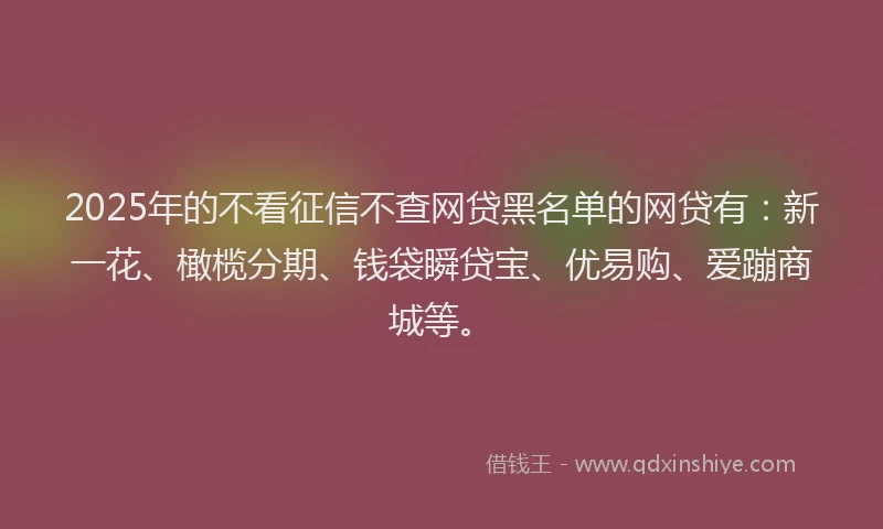 2025年的不看征信不查网贷黑名单的网贷有：新一花、橄榄分期、钱袋瞬贷宝、优易购、爱蹦商城等。
