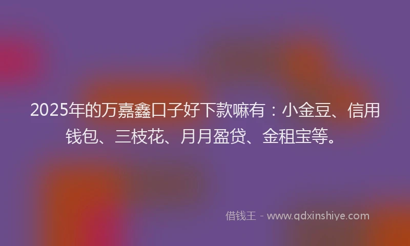 2025年的万嘉鑫口子好下款嘛有：小金豆、信用钱包、三枝花、月月盈贷、金租宝等。