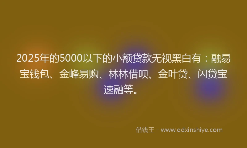 2025年的5000以下的小额贷款无视黑白有：融易宝钱包、金峰易购、林林借呗、金叶贷、闪贷宝速融等。