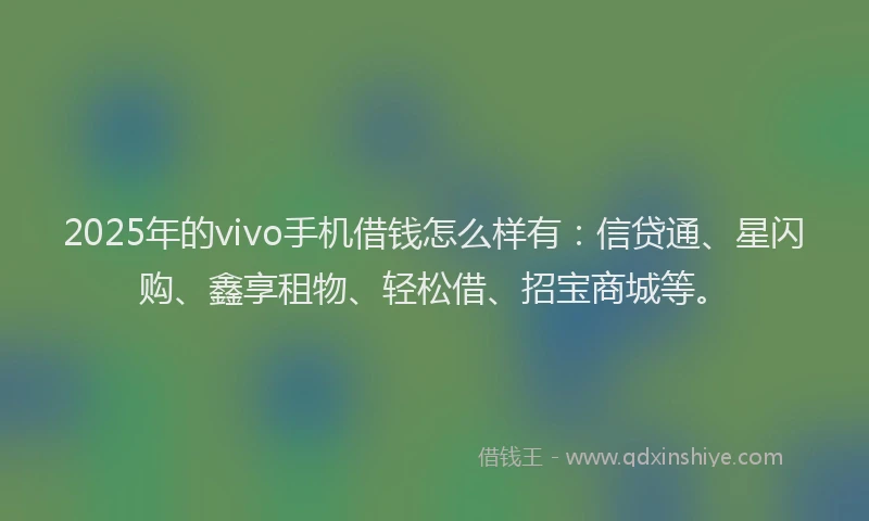 2025年的vivo手机借钱怎么样有：信贷通、星闪购、鑫享租物、轻松借、招宝商城等。