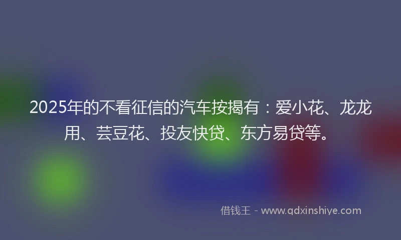 2025年的不看征信的汽车按揭有：爱小花、龙龙用、芸豆花、投友快贷、东方易贷等。