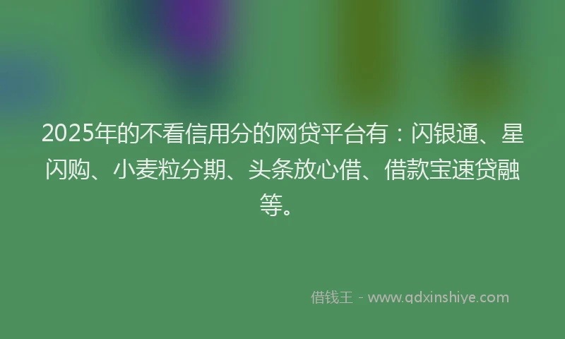 2025年的不看信用分的网贷平台有：闪银通、星闪购、小麦粒分期、头条放心借、借款宝速贷融等。