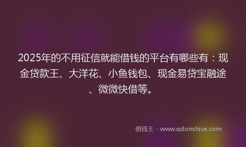 2025年的不用征信就能借钱的平台有哪些有：现金贷款王、大洋花、小鱼钱包、现金易贷宝融途、微微快借等。