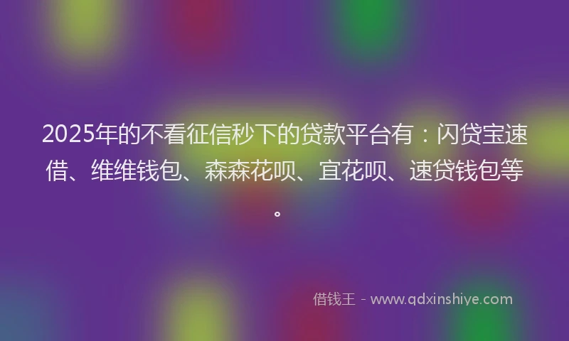 2025年的不看征信秒下的贷款平台有：闪贷宝速借、维维钱包、森森花呗、宜花呗、速贷钱包等。