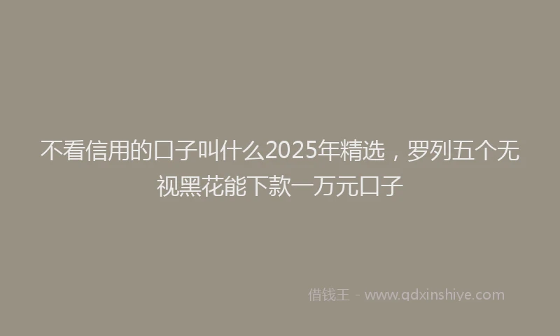 不看信用的口子叫什么2025年精选，罗列五个无视黑花能下款一万元口子