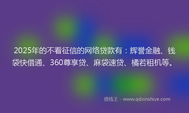 2025年的不看征信的网络贷款有：辉誉金融、钱袋快借通、360尊享贷、麻袋速贷、橘若租机等。