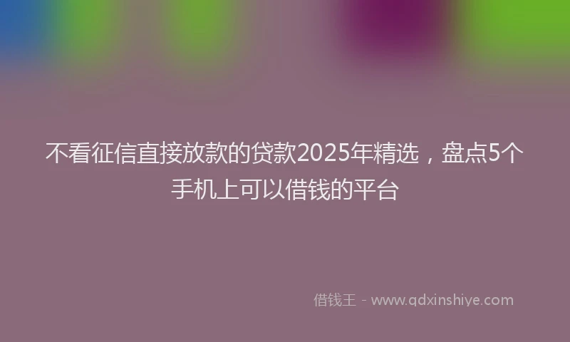 不看征信直接放款的贷款2025年精选，盘点5个手机上可以借钱的平台