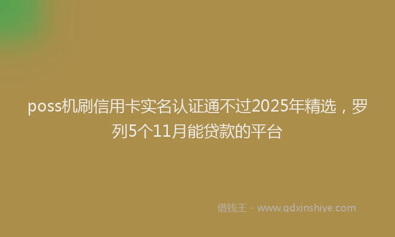 poss机刷信用卡实名认证通不过2025年精选，罗列5个11月能贷款的平台