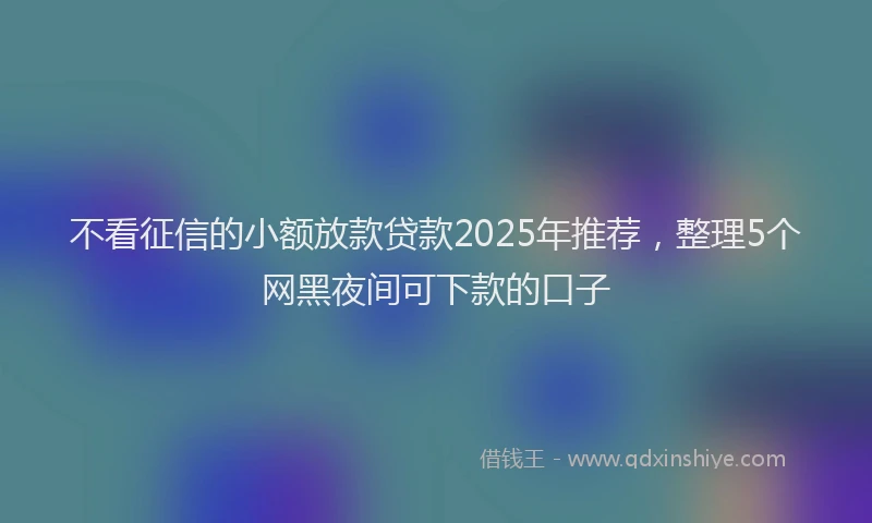 不看征信的小额放款贷款2025年推荐，整理5个网黑夜间可下款的口子