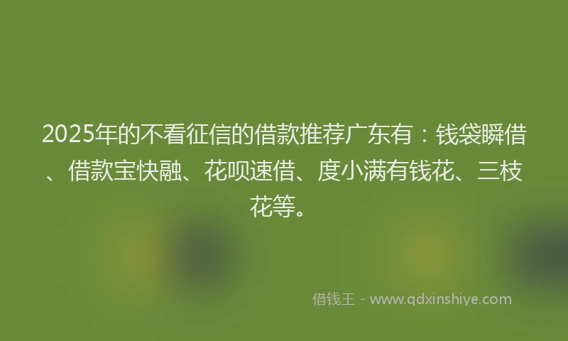 2025年的不看征信的借款推荐广东有：钱袋瞬借、借款宝快融、花呗速借、度小满有钱花、三枝花等。