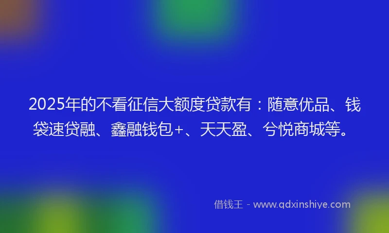 2025年的不看征信大额度贷款有：随意优品、钱袋速贷融、鑫融钱包+、天天盈、兮悦商城等。