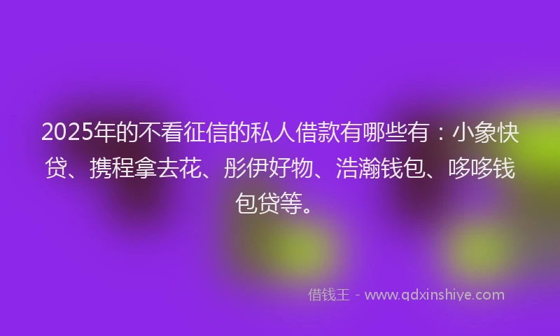 2025年的不看征信的私人借款有哪些有：小象快贷、携程拿去花、彤伊好物、浩瀚钱包、哆哆钱包贷等。