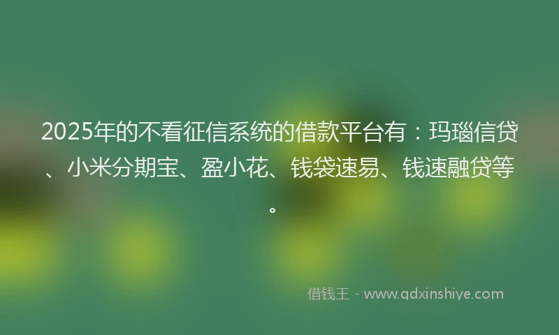 2025年的不看征信系统的借款平台有：玛瑙信贷、小米分期宝、盈小花、钱袋速易、钱速融贷等。