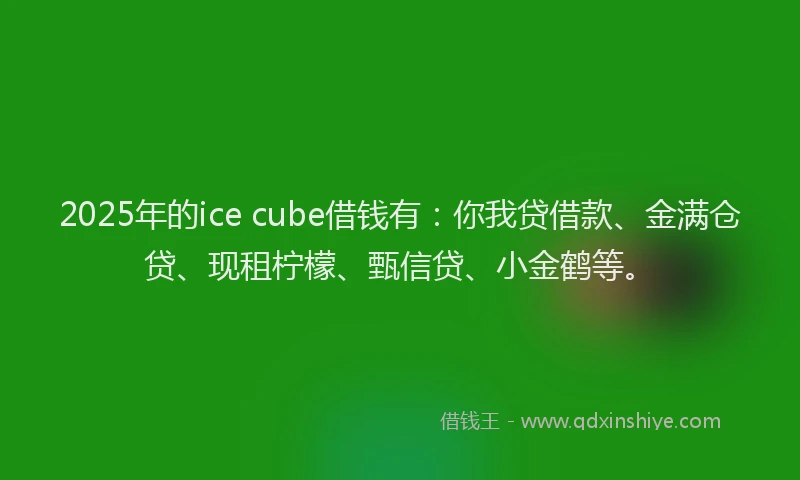 2025年的ice cube借钱有：你我贷借款、金满仓贷、现租柠檬、甄信贷、小金鹤等。