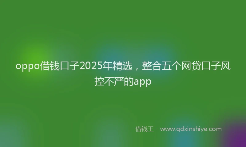 oppo借钱口子2025年精选，整合五个网贷口子风控不严的app