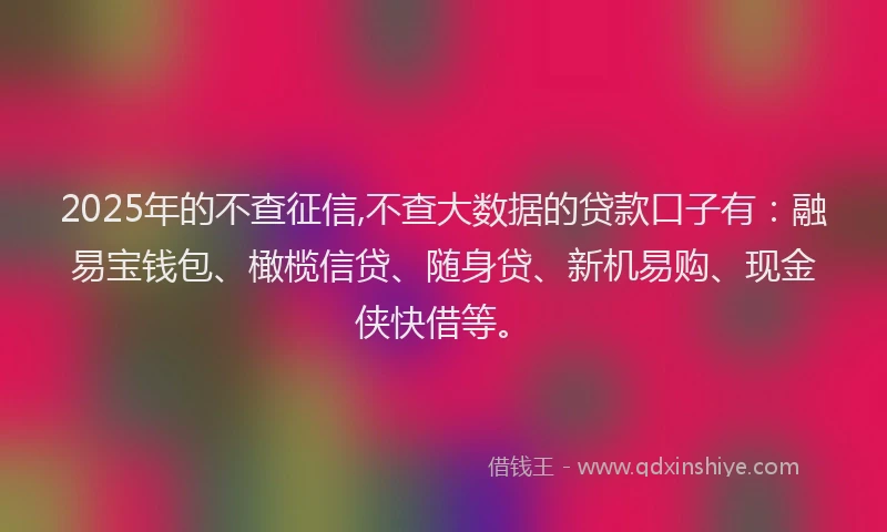 2025年的不查征信,不查大数据的贷款口子有：融易宝钱包、橄榄信贷、随身贷、新机易购、现金侠快借等。