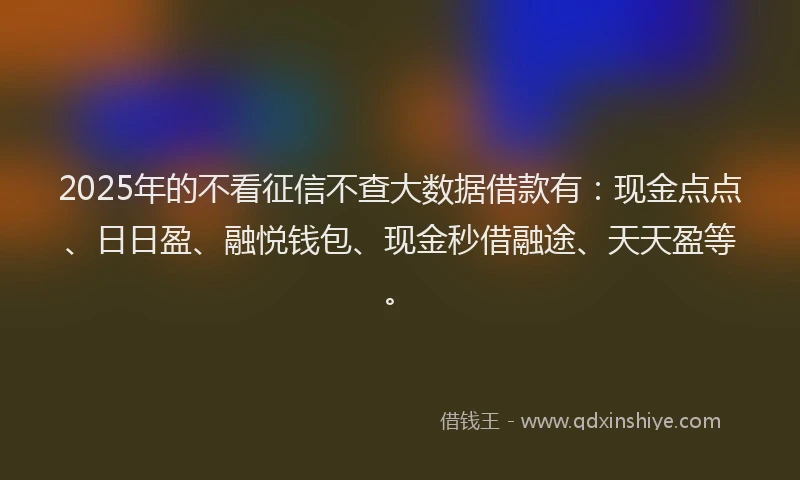 2025年的不看征信不查大数据借款有：现金点点、日日盈、融悦钱包、现金秒借融途、天天盈等。