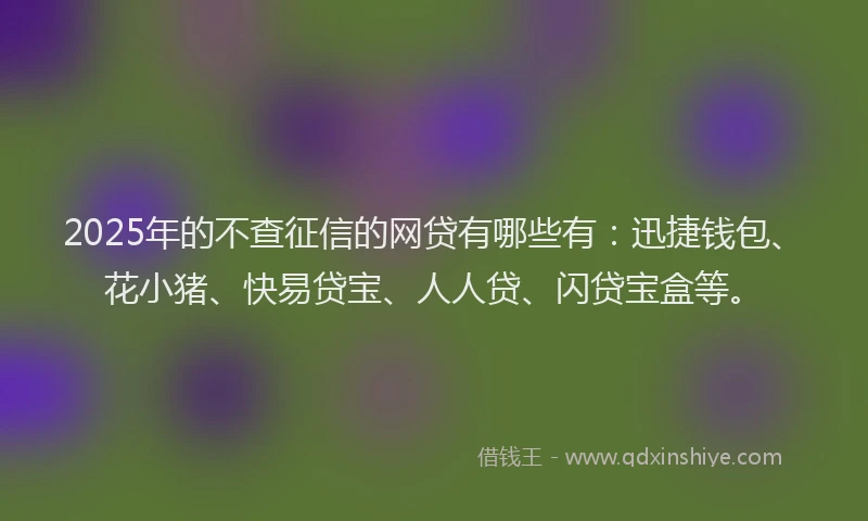 2025年的不查征信的网贷有哪些有：迅捷钱包、花小猪、快易贷宝、人人贷、闪贷宝盒等。