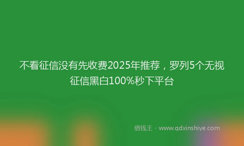 不看征信没有先收费2025年推荐，罗列5个无视征信黑白100%秒下平台