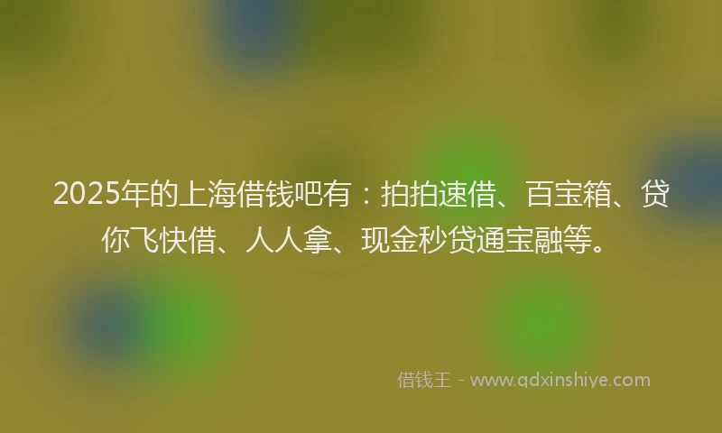 2025年的上海借钱吧有：拍拍速借、百宝箱、贷你飞快借、人人拿、现金秒贷通宝融等。