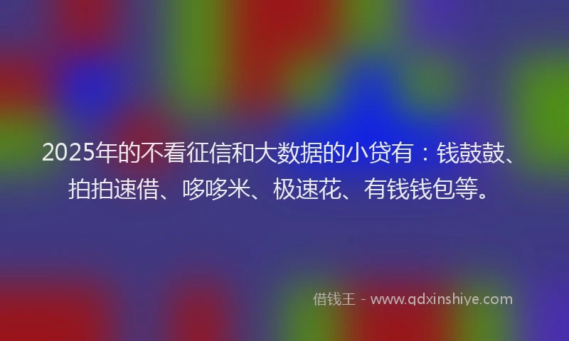 2025年的不看征信和大数据的小贷有：钱鼓鼓、拍拍速借、哆哆米、极速花、有钱钱包等。