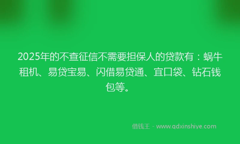2025年的不查征信不需要担保人的贷款有：蜗牛租机、易贷宝易、闪借易贷通、宜口袋、钻石钱包等。