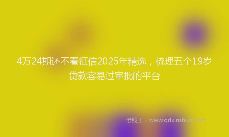 4万24期还不看征信2025年精选，梳理五个19岁贷款容易过审批的平台