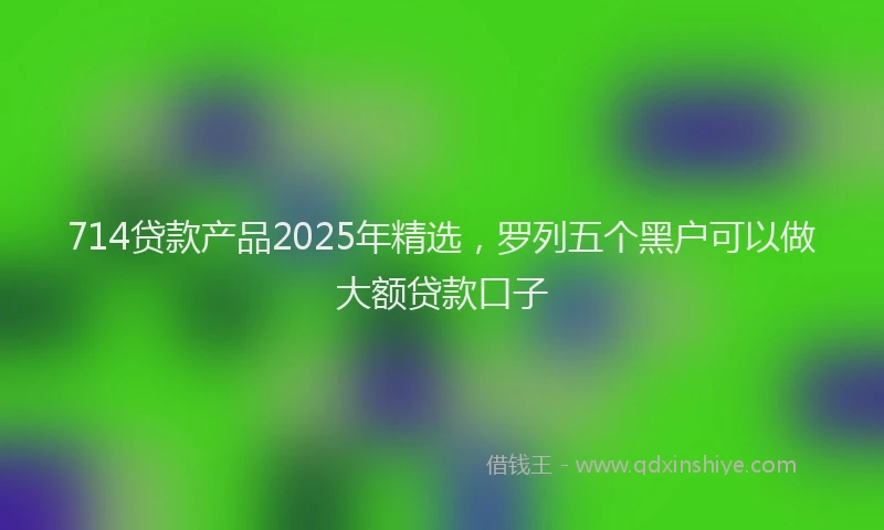714贷款产品2025年精选，罗列五个黑户可以做大额贷款口子