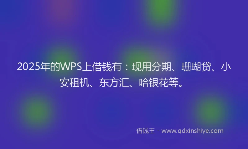 2025年的WPS上借钱有：现用分期、珊瑚贷、小安租机、东方汇、哈银花等。